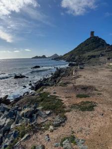 Appartements Magnifique 70m2 avec patio terrasse en bord de mer : photos des chambres