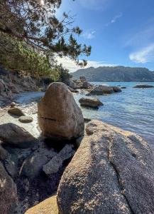 Appartements Magnifique 70m2 avec patio terrasse en bord de mer : photos des chambres