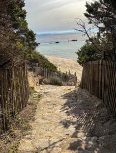 Appartements Magnifique 70m2 avec patio terrasse en bord de mer : photos des chambres