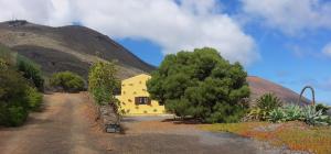 El Pajerito de El Tejal