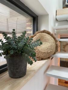 Appartements Le Nichoir : photos des chambres