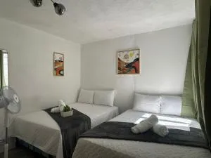 Casa Zakura - Atlántida