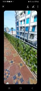 Apparemment t7 oran fran de mer