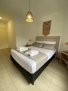 BUENAVISTA Rent a Flat