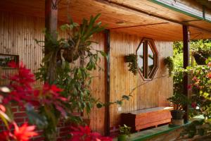 Tesorito House en las Montañas del Quindío