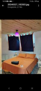 Domo Iglooo en charbonier