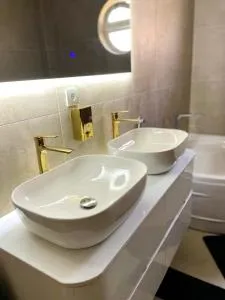 Casa Magnifica - 米特罗维察