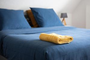 Appartements ESPLANADE HOME Private SPA Jacuzzi Sauna Parking, Colmar : photos des chambres
