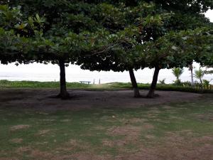 House by the sea in Cumuruxatiba-BA