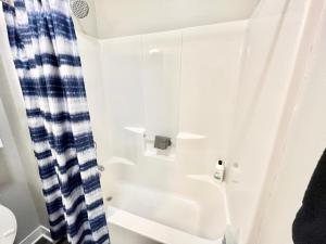 Urban Oasis Downtown Condo with Skywalk Access 3