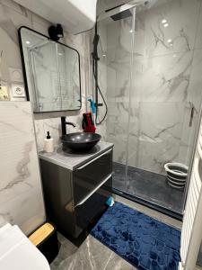 Appartements Charmant T2 proche gare SNCF a 15 min de Lyon : Appartement 1 Chambre