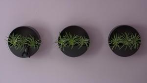 Chic Farmhouse Woodstock Saugerties Skiing HITS