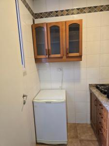 depto centro 1 ambiente