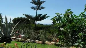 Villa Carpe Diem - 勒拉旺杜