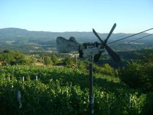 Holiday home in Otocec - Kranjska (Krain) 33898