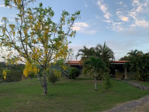 Caladium House in the best weather!