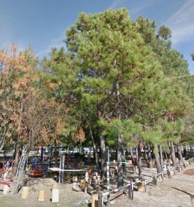 Apartamentito a una cuadra de la playa