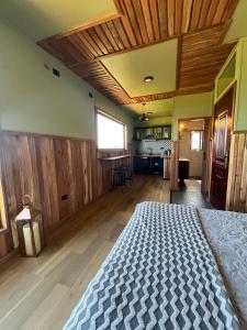 Panguipulli Bella Vista