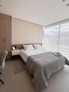 New Mini Suite, La Carolina