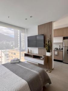 New Mini Suite, La Carolina