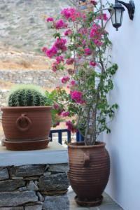 Panorama Rooms Sifnos Greece