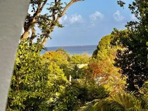 Superbe appartement vue mer - Deshaies