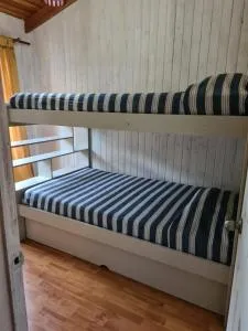 Potrerillos de la montaña - Lota