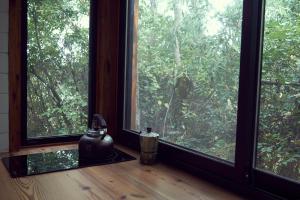 Isla El pantano delta, Tigre