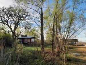 Isla El pantano delta, Tigre