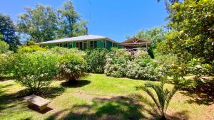 Isla El pantano delta, Tigre