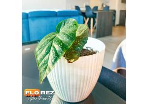 FLOREZ APT7 - Moderno, céntrico con calefacción - Piso 18