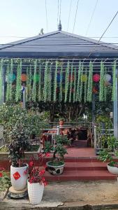 Mộc Hương Villa Mộc Châu