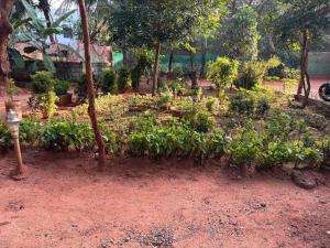 Red Mount Homestay