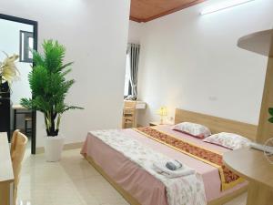 Căn Hộ 1 Phòng Ngủ (One-Bedroom Apartment)