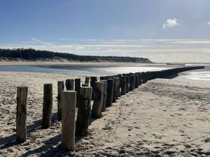 Maisons de vacances Charmante maison moderne pres de la plage a Berck - FR-1-646-81 : photos des chambres