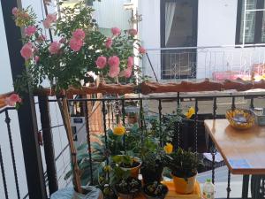 Ở Mô hostel Đà Lạt