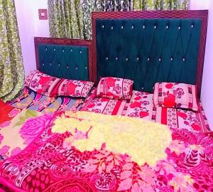 Guddu guest house Srinagar
