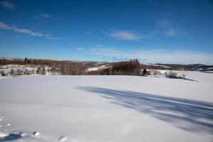 Starry Sky Cottage 13