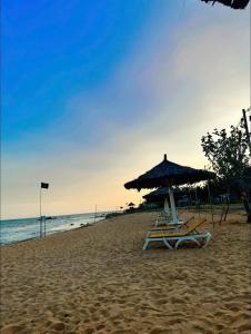 Cho Thuê Villa 5 Sao Oceanami