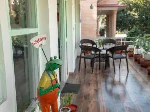 Ferozi House x Free Birds - Jaipur