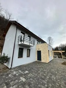 Twin Villa1 - Bocşa