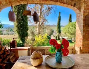 Casa di Gioia Stunning Umbrian Village home with Private Garden and Olive Grove - Binami