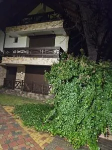 жилой дом, возможен офис - Stroieşti