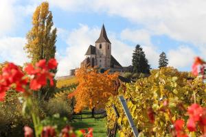 Maisons de vacances Maison Gite Au Tonnelier : photos des chambres