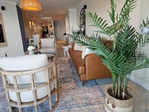 Pansy Cove - Sunsets and Sandy Feet!