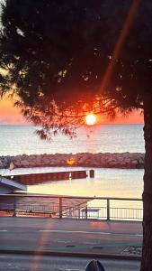 Appartements Front de mer,plage, piscine, parking : photos des chambres