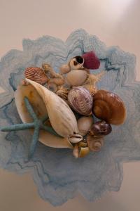 Coastal Comfort - 1 bedroom beachfront apartment