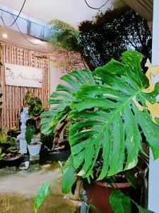 BOVIIs Home Koh Larn