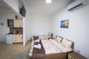 City Park Apartment