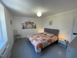 Appartements Gite du Panda #Beauval #Chateaux : photos des chambres